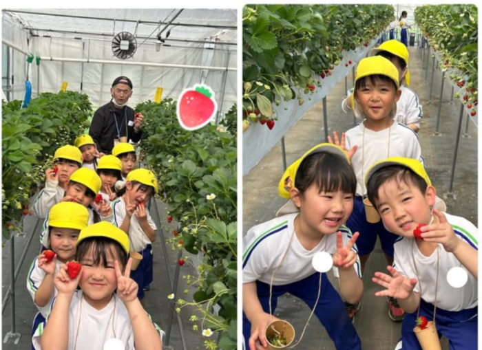 【年長組】いちご狩りに行って来ました🍓